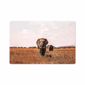 MAHOOT Elephant Cover Sticker for Huawei Mediapad M6 10.8 2019