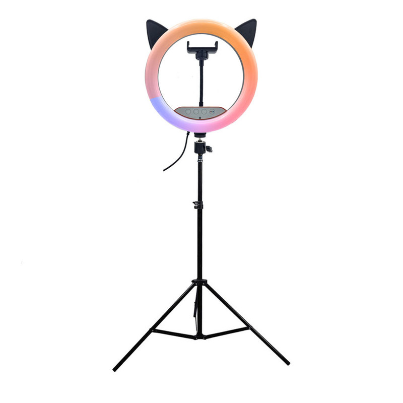 رینگ لایت مدل گربه ای کد RGB-CM26 RK