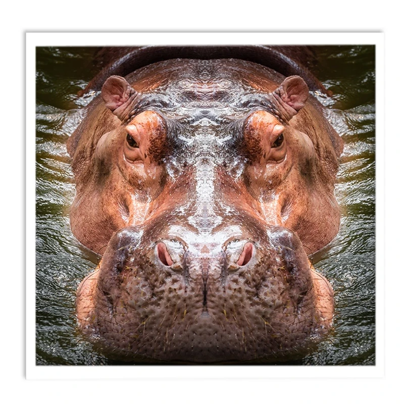 تابلو نوری بکلیت طرح طبیعت اسب آبی مدل W-S1269