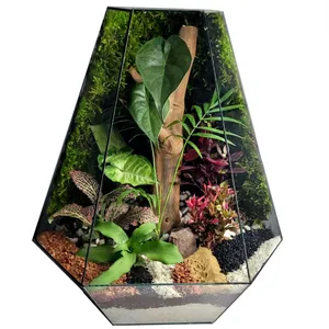 تراریوم ترارتوس مدل 04