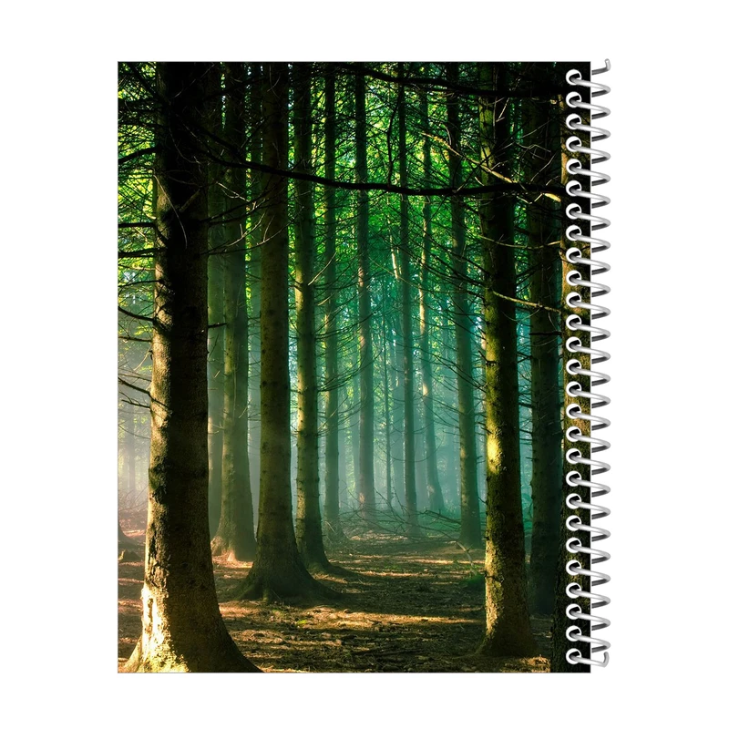 دفتر نقاشی 100 برگ مدل جنگل کاج