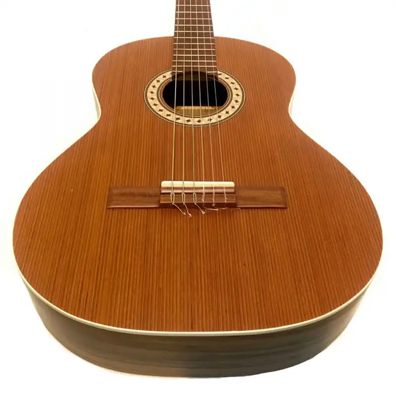 گیتار مدل M6