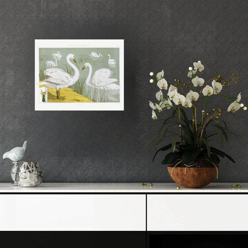 پوستر مدل  لاکچری اردک های سفید 