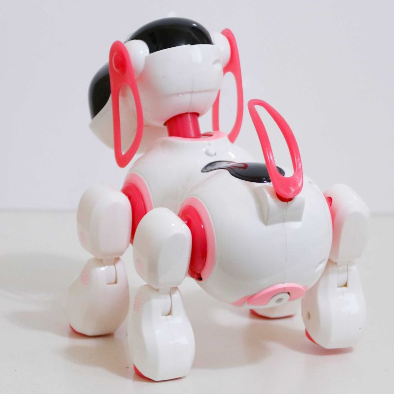 ربات کنترلی مدل سگ