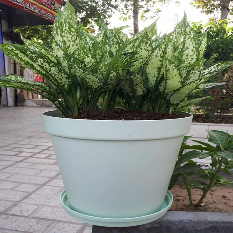 زیر گلدانی شهرآذین مدل 1028 بسته دو عددی زیر گلدانی شهرآذین مدل 1028 بسته دو عددی