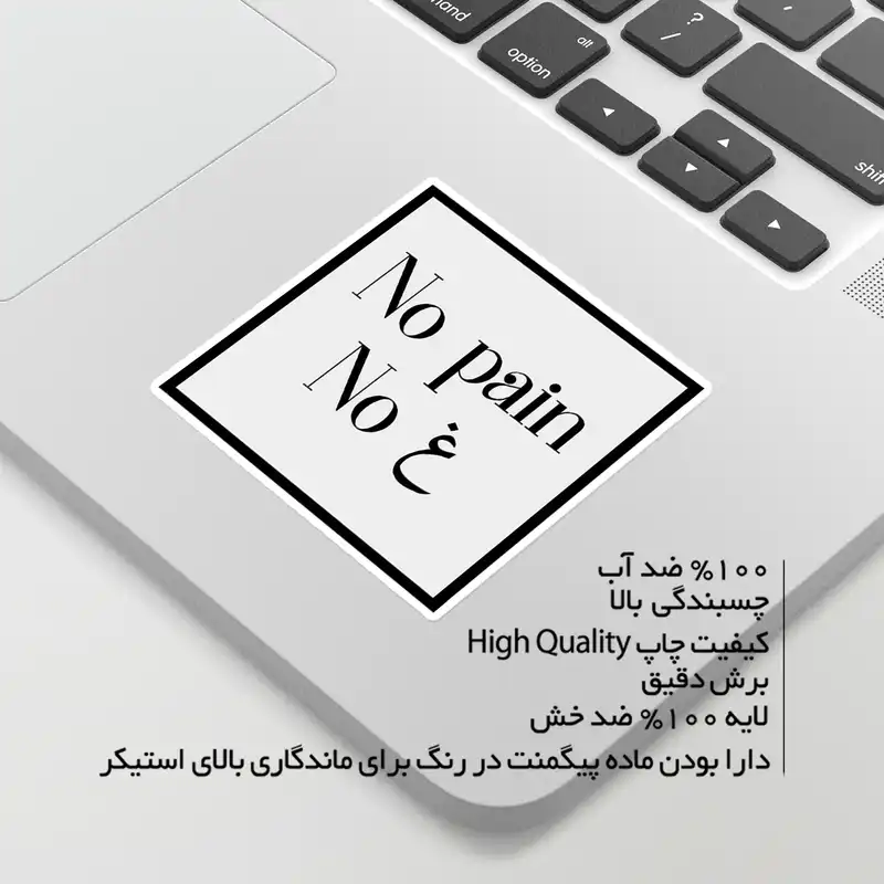 استیکر لپ تاپ ماسا دیزاین طرح  no pain مدل venus692