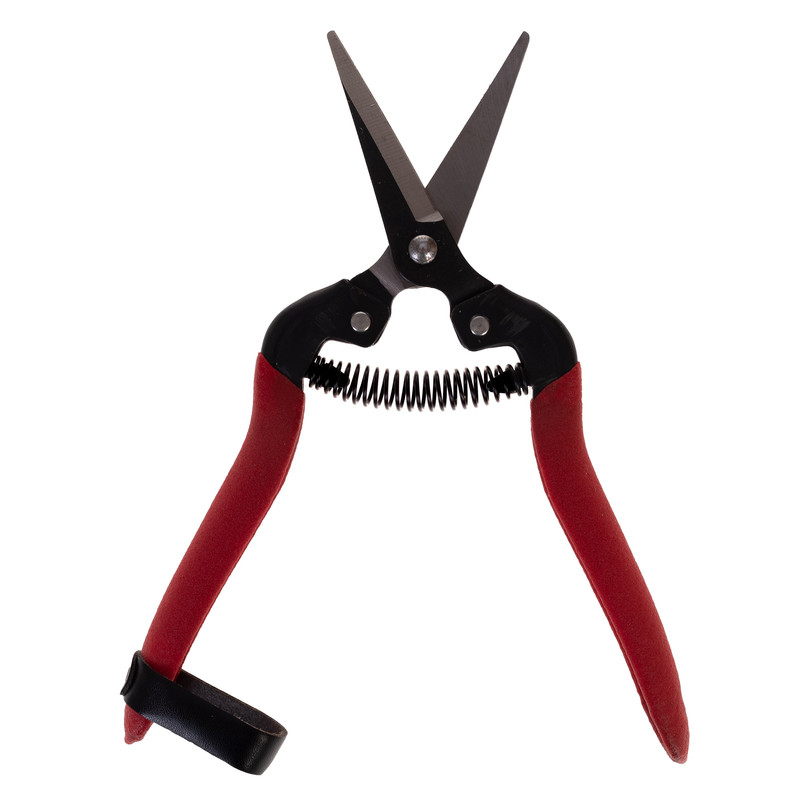قیچی میوه چینی  مدل RH-185