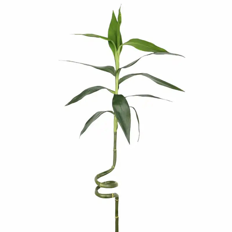 گل مصنوعی مدل لاکی بامبو