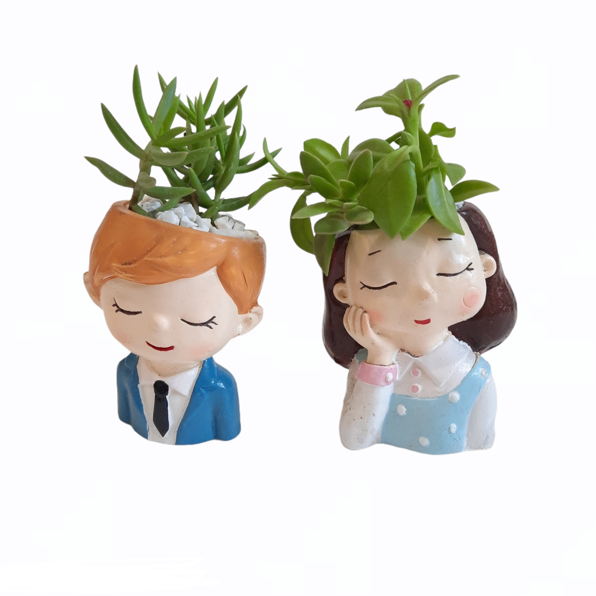 گیاه طبیعی مدل ساکولنت طرح پسر دختر مجموعه دو عددی