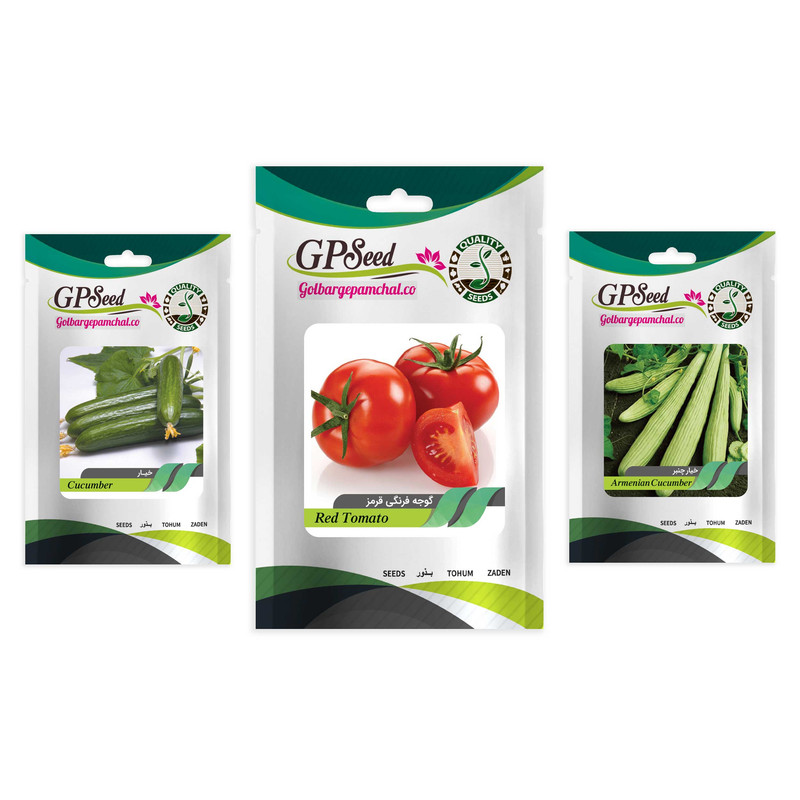 بذر صیفی جات خیار و گوجه گلبرگ پامچال کد G-P-GP-03 مجموعه 3 عددی بذر صیفی جات خیار و گوجه گلبرگ پامچال کد G-P-GP-03 مجموعه 3 عددی