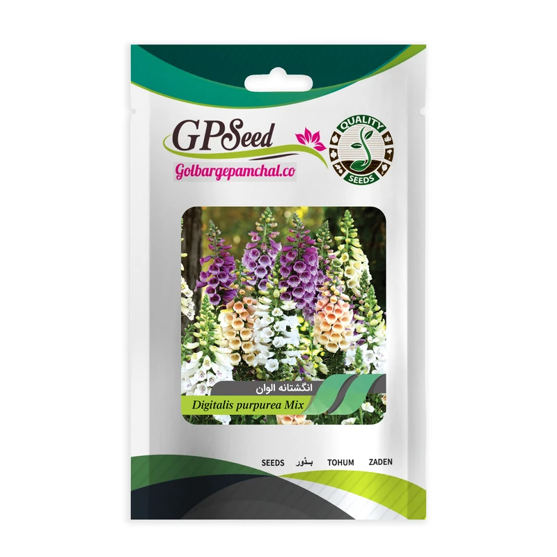 بذر گل انگشتانه گلبرگ پامچال کد GPF-024