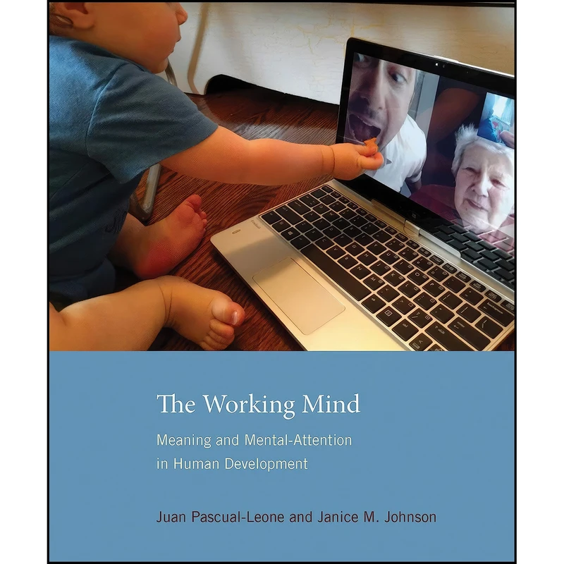 کتاب The Working Mind اثر جمعي از نويسندگان انتشارات The MIT Press