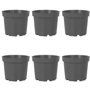 گلدان مدل پاچیرا 23cm بسته 6عددی