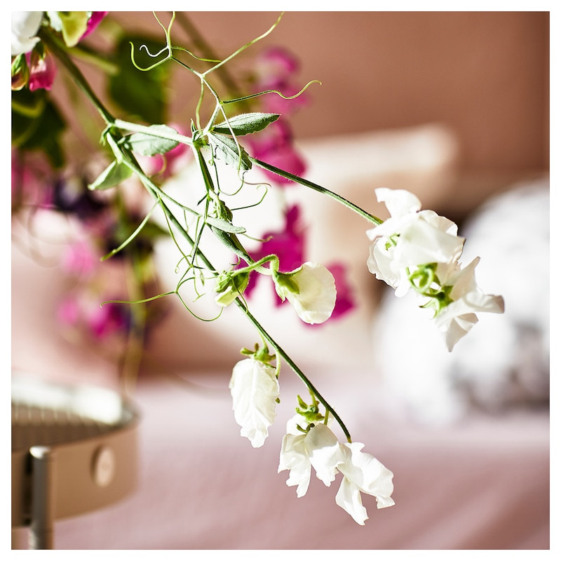 گل خشک معطر ایکیا مدل JAMNMOD