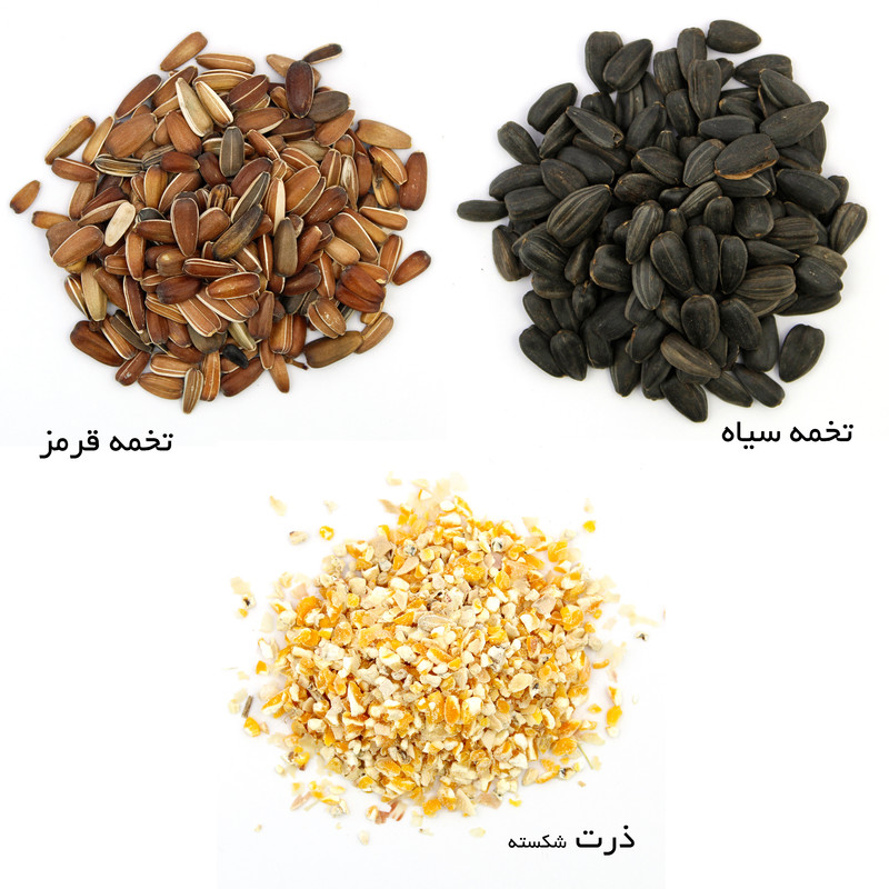 غذای خشک طوطی سانان مای برد کد GJ وزن 1 کیلوگرم