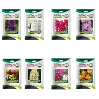 بذر گل شب بو همه رنگ گلدانی گلبرگ پامچال کد G-P-GP-08 مجموعه 8 عددی