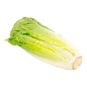 کاهو رسمی - 700 گرم