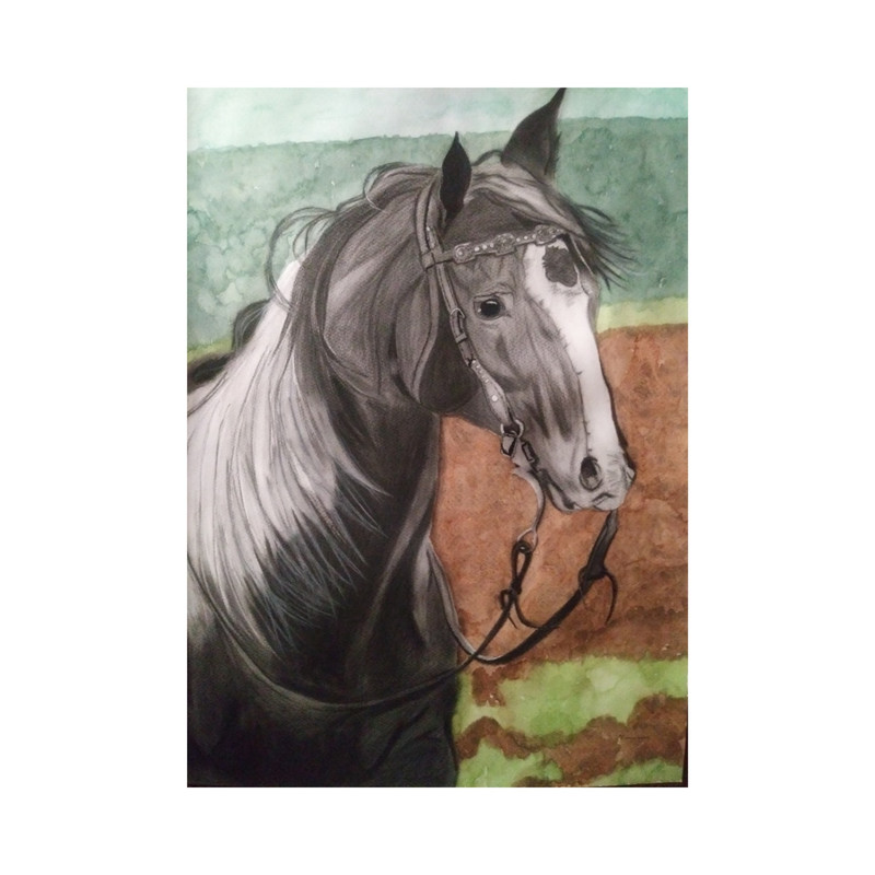 نقاشی سیاه قلم و آبرنگ طرح اسب مزرعه کد SA101