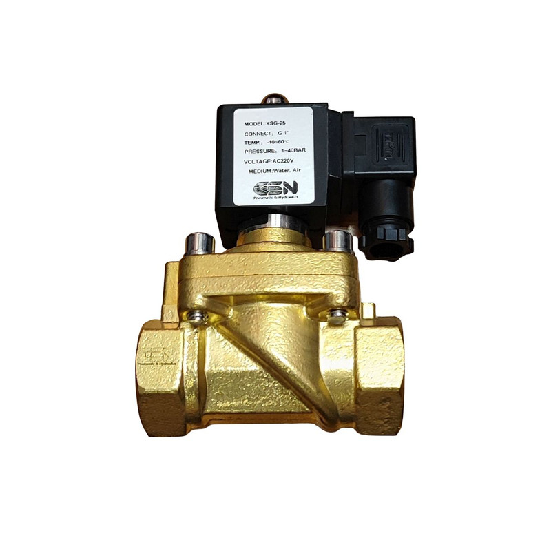 شیر برقی پنوماتیک ای اس ان مدل ESN-XSG-25 1inch 220V 75bar