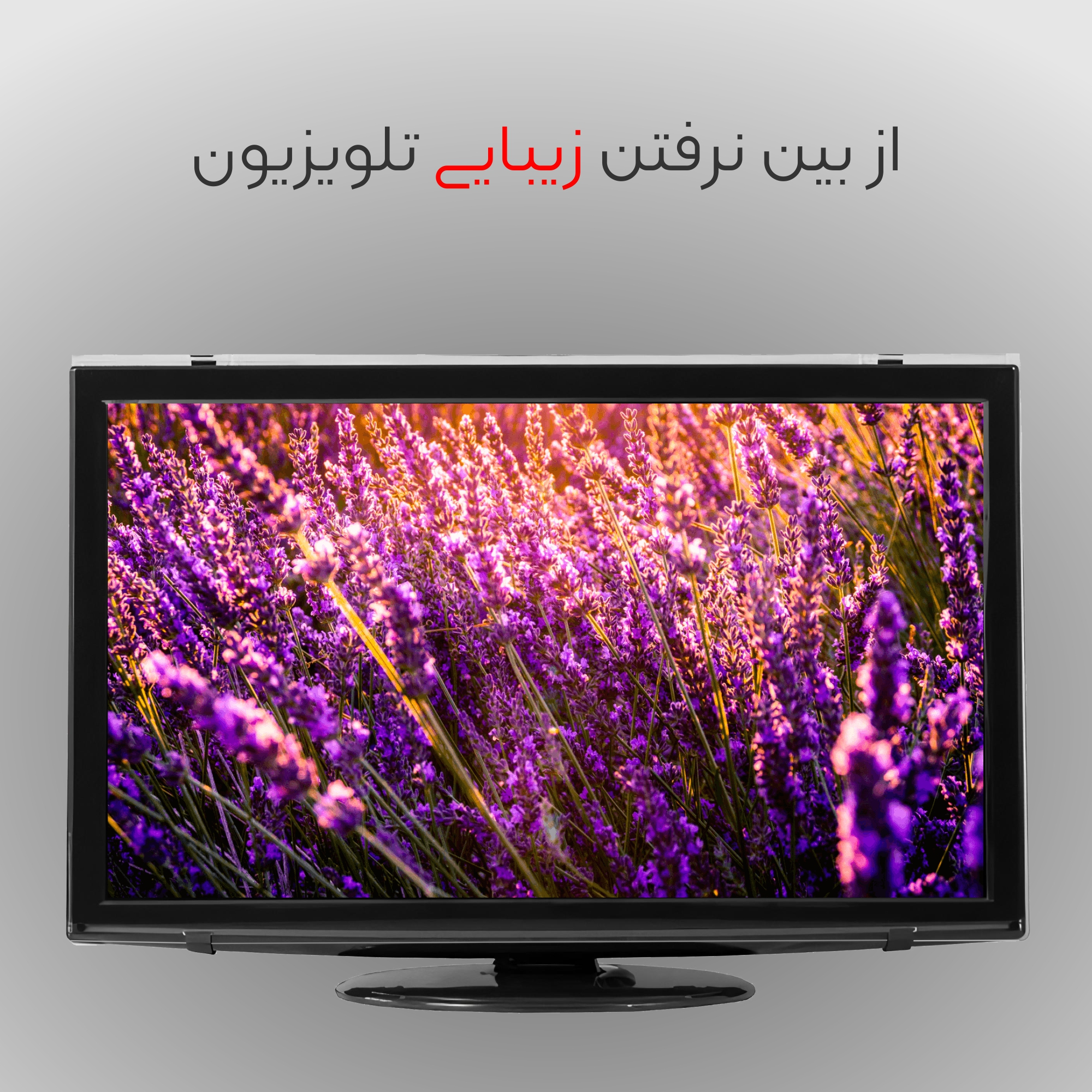 محافظ صفحه نمایش تلویزیون مدل j75 Standard مناسب برای تلویزیون 75 اینچ
