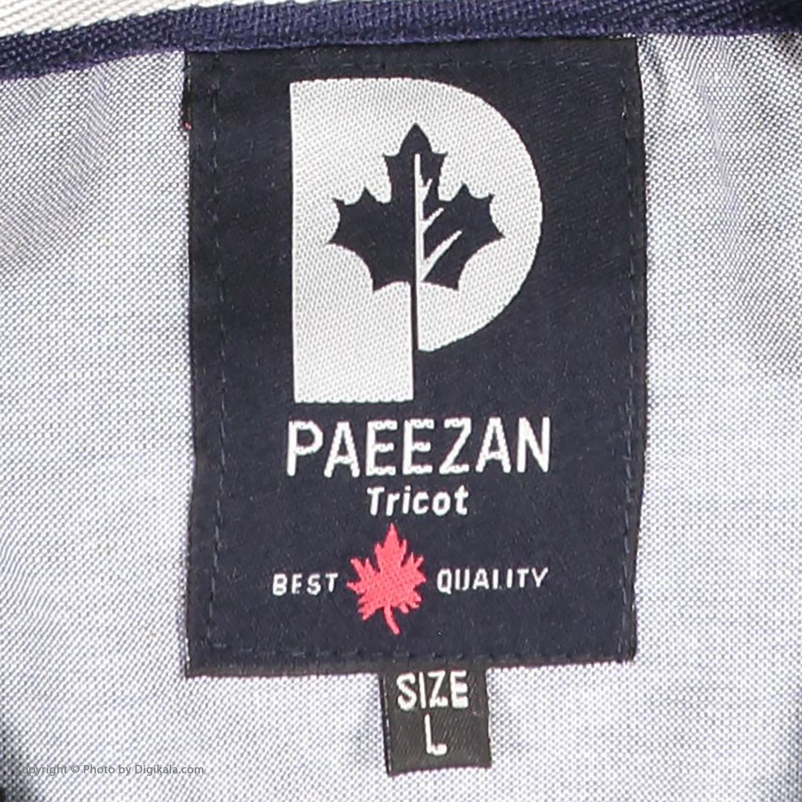 پلیور مردانه تریکو پاییزان مدل PR700 - - 101