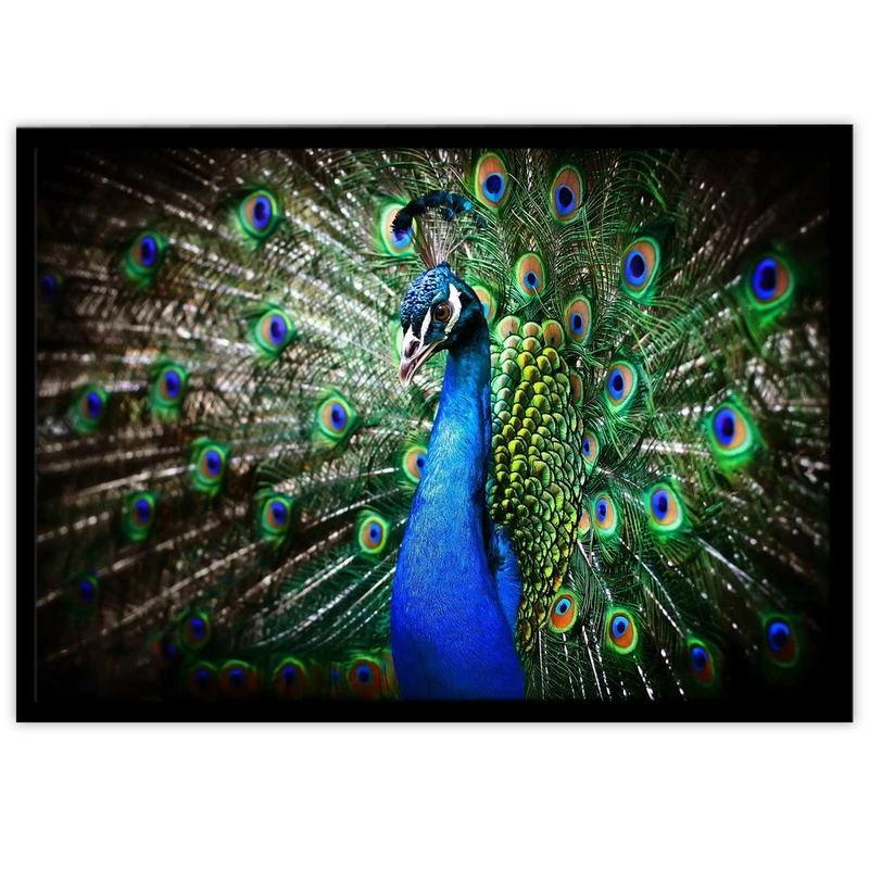 تابلو بکلیت طرح پرندگان طاووس مدل B-10336