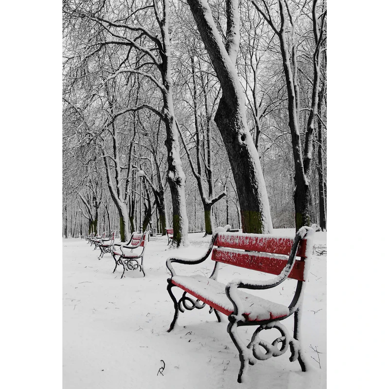 تابلو شاسی مدل منظره برفی و درخت و نیمکت T7001