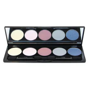 پالت سایه چشم ان وی اکو مدل plum sky