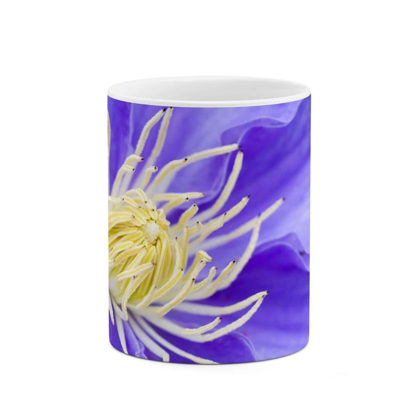 ماگ کاکتی مدل گل کد mgh12049