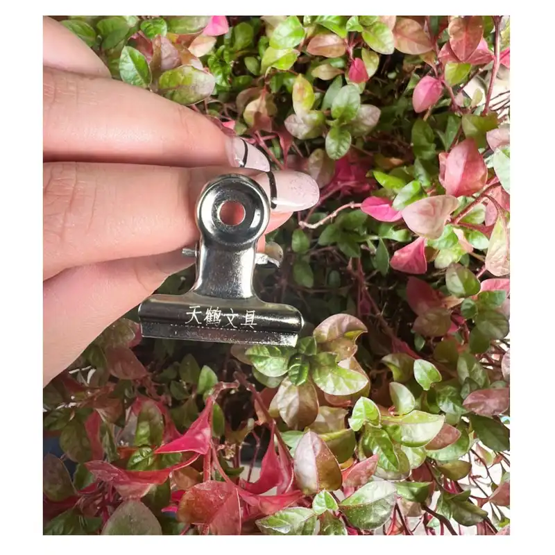 پینچر ناخن مدل PIN4477-S3-2 مجموعه 2 عددی