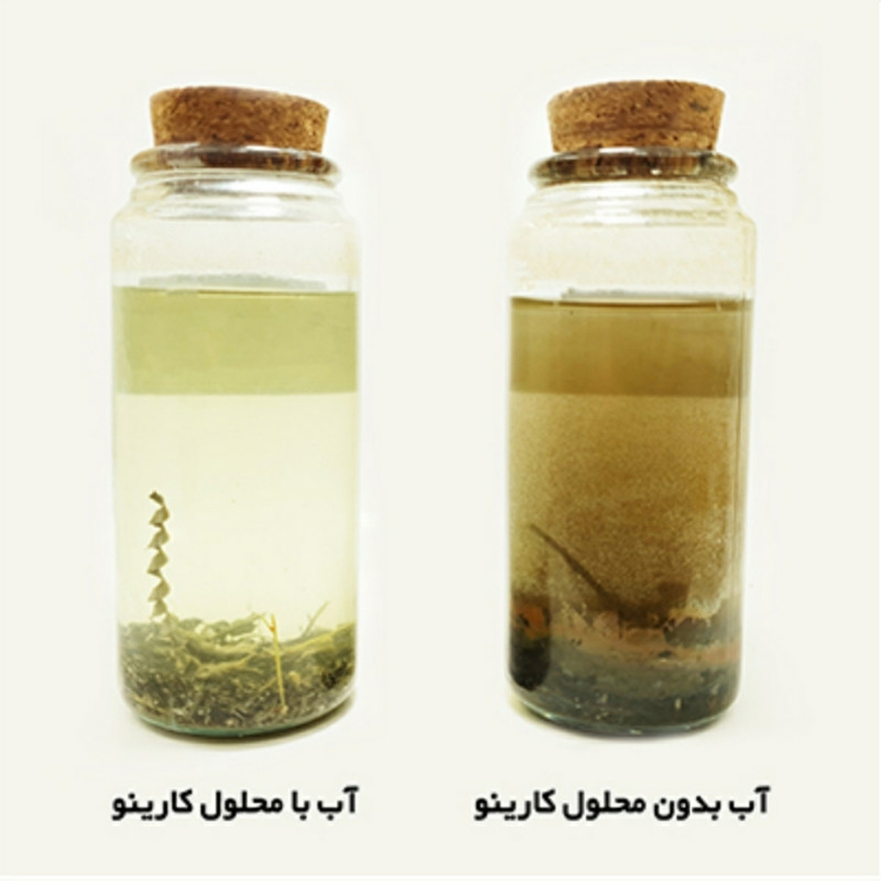 محلول ضد رسوب پکیج کارینو مدل 01 حجم 1000 میلی لیتر