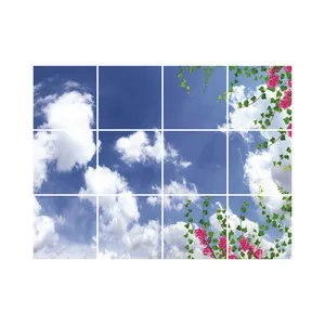 تایل سقفی آسمان مجازی مدل R35 سایز 60*60 سانتی متر مجموعه 12 عددی