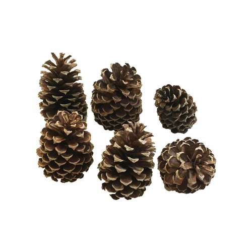 میوه تزیینی مدل کاج کد SRM-276 بسته 6 عددی