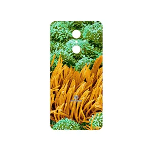 MAHOOT Atom Universe 6 Cover Sticker for Xiaomi REDMI 5
