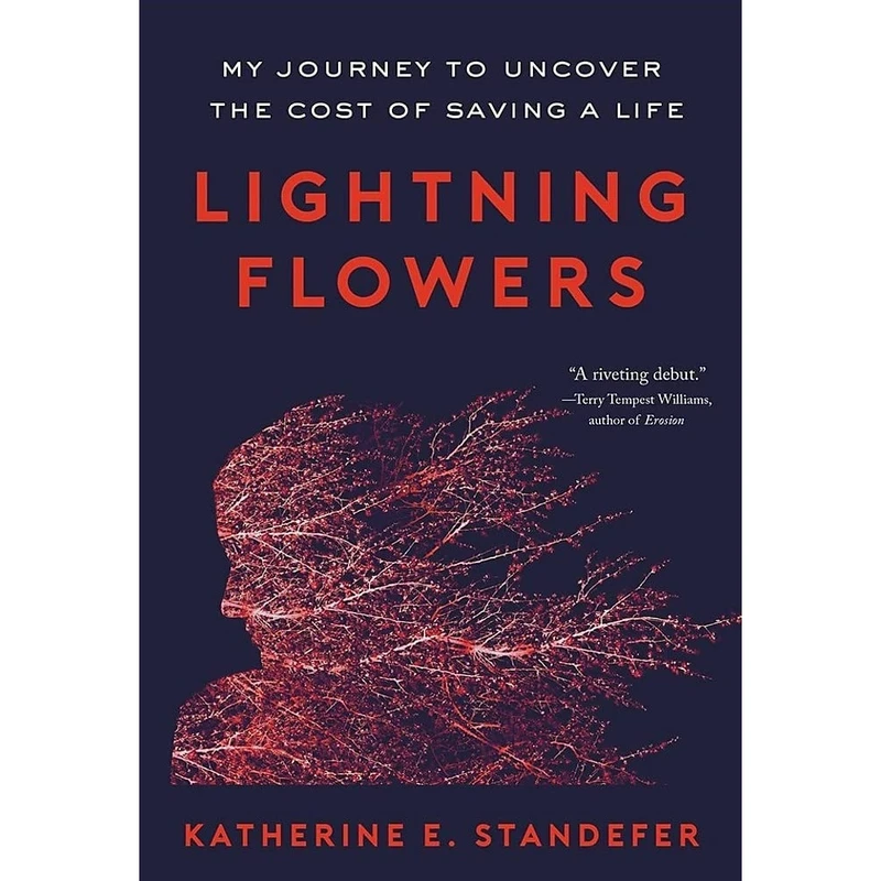 کتاب Lightning Flowers اثر Katherine E. Standefer انتشارات Little Brown Spark