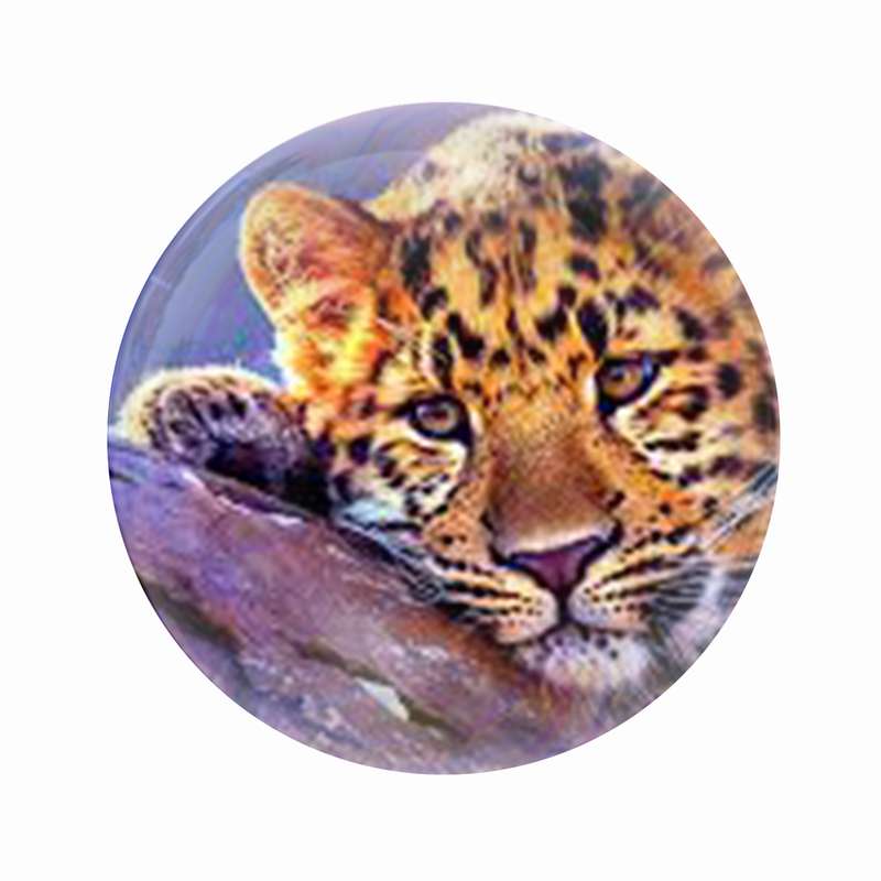 مگنت عرش طرح حیوان پلنگ کد Asm4458