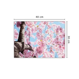 Wensoni Pink Bloom Chassis 40 x 30