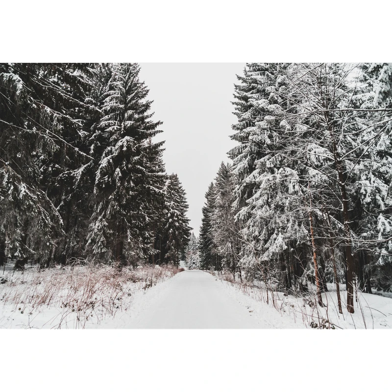 تابلو شاسی طرح منظره زمستان و درخت و برف مدل T1882