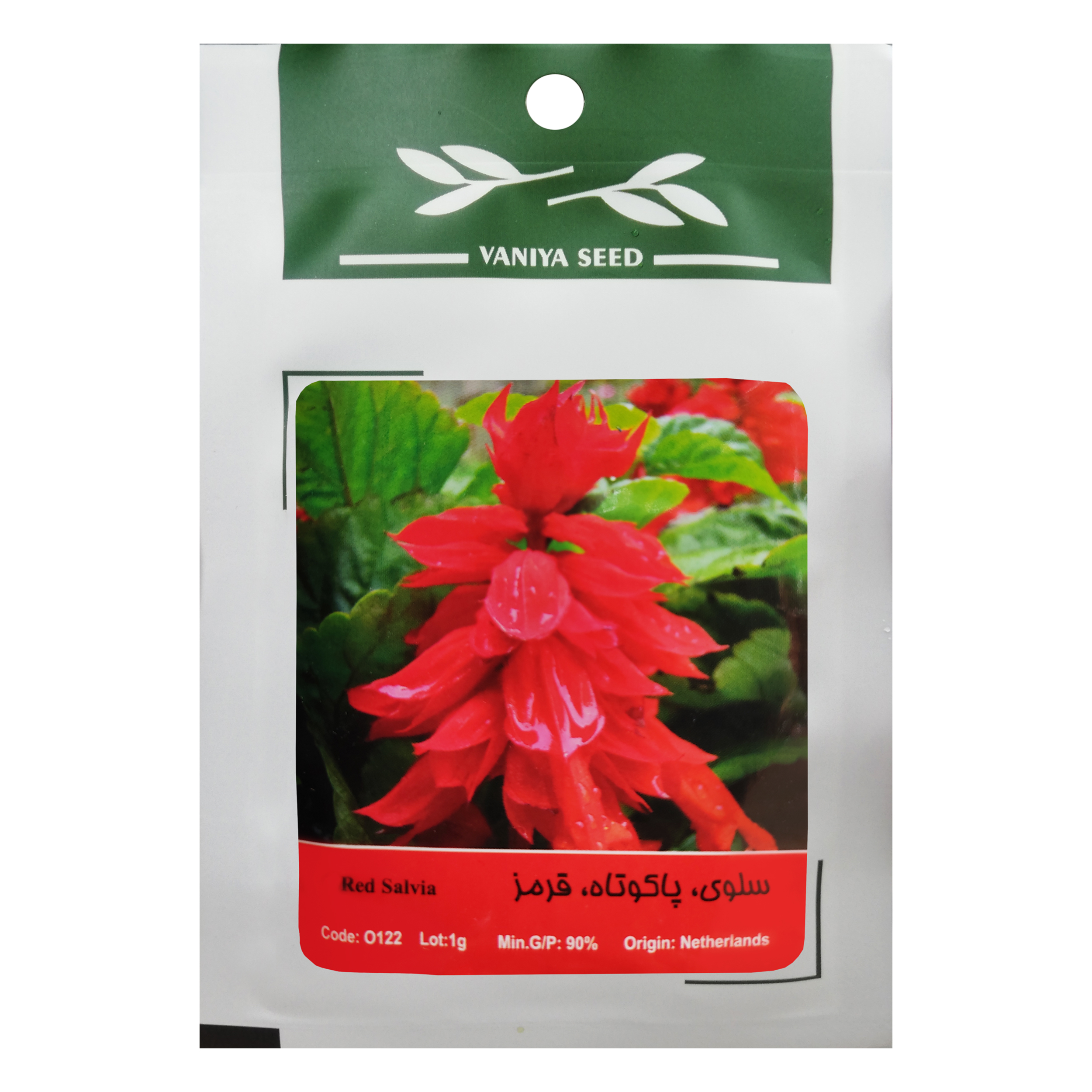 بذر گل سلوی پاکوتاه قرمز وانیا سید مدل O122