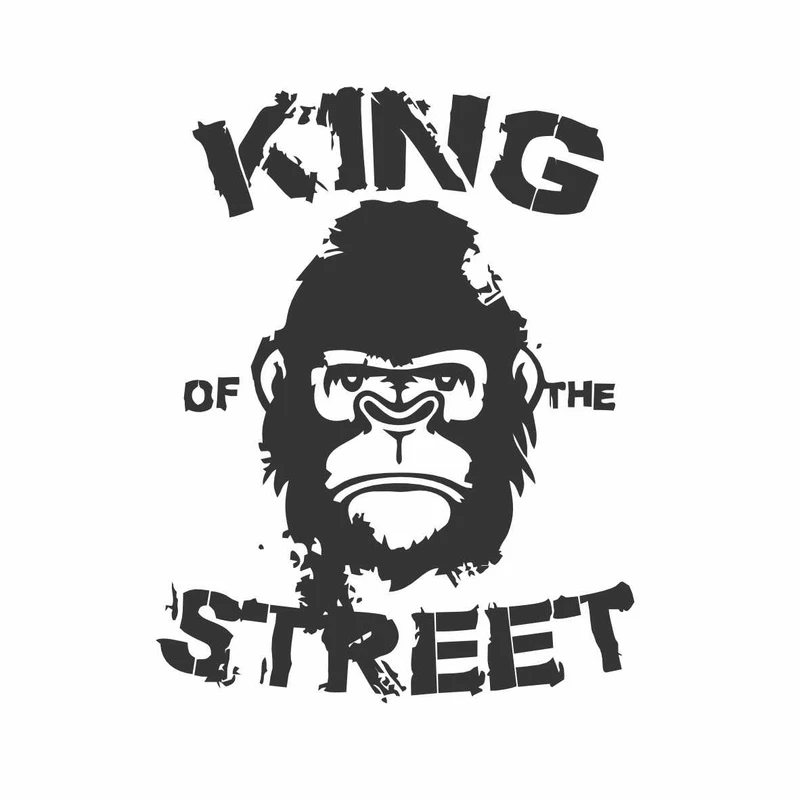 برچسب بدنه خودرو طرح سلطان جاده کد K02