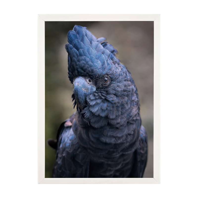 تابلو مدل دیواری طرح پرنده طوطی کد EA-1143