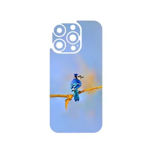 MAHOOT Cyanocitta cristata Cover Sticker for Apple iPhone 16 Pro