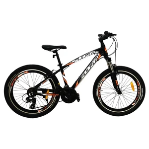 دوچرخه کوهستان فیفا مدل F6000 سایز 24