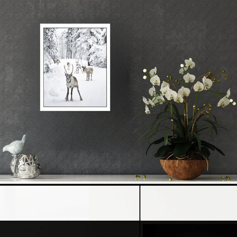 پوستر مدل  پاره‌گاز در دشت برفی  