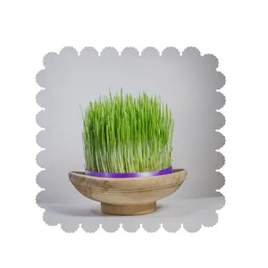 رومیزی طرح سبزه کد 5763B