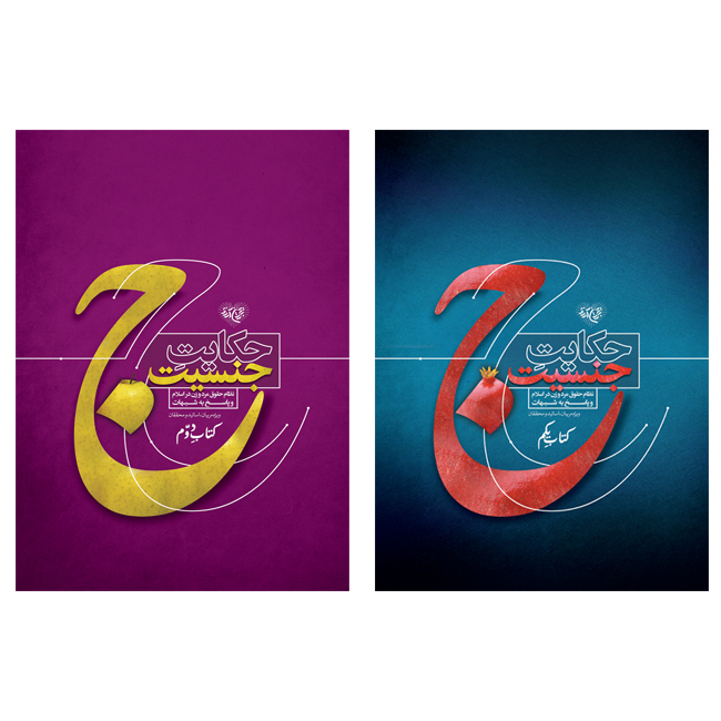 کتاب حکایت جنسیت اثر محمدحسن وکیلی انتشارات برترین آرزو 2 جلدی