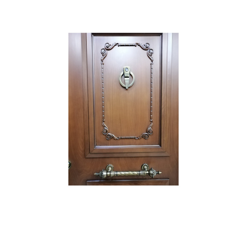 در ضد سرقت مدل goldar