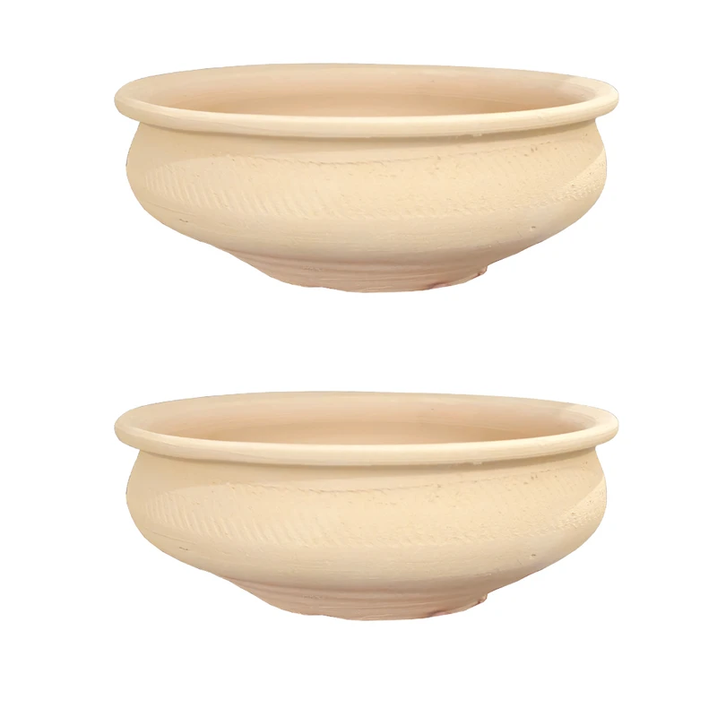 جاسبزه سفالی مدل خام کد B15 بسته ۲ عددی