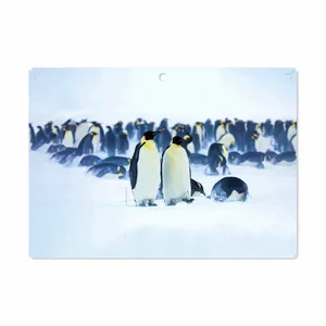 MAHOOT Penguin Cover Sticker for Lenovo Miix 320 2017