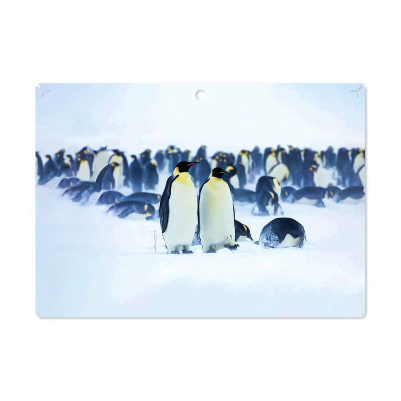برچسب پوششی ماهوت مدل Penguin مناسب برای تبلت لنوو Miix 320 2017